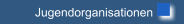 Jugendorganisationen